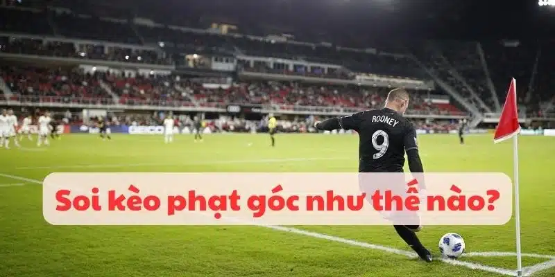 Kinh nghiệm hữu ích khi soi kèo phạt góc từ cao thủ QQ88