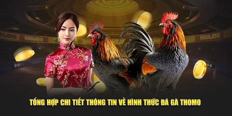 Tổng quan chung về bộ môn chọi kê trực tuyến